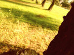 Fotoblog dzuliettaaa