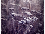 Fotoblog onenightonly