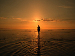 Fotoblog redrabbit