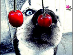 Fotoblog tymbarkowaa1111