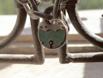 Fotoblog canonek