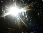 Fotoblog mylifeisphoto