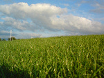 Fotoblog mojekochanie22222