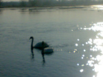 Fotoblog landryneczka213