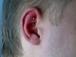 Rook