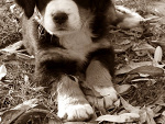 Fotoblog yourhearttellwhoyouare