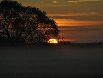Fotoblog sosmall