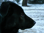 Fotoblog syropmalinowy