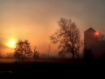 Fotoblog samuelvincent