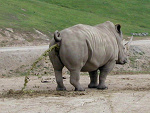 Fotoblog sramnatooo