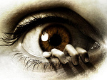 Fotoblog highdream