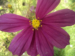 Fotoblog embranceit