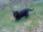 Fotoblog doodlegod