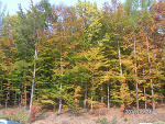 Fotoblog pegaz824