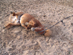 Fotoblog paczoltowice