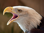 Fotoblog anonimowo0