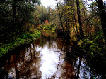Fotoblog devileek