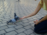 Fotoblog olcia121213