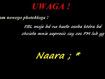 Fotoblog unpredictable1