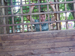 Fotoblog cwaniak1415