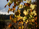 Fotoblog himmel2401