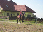 Fotoblog ewelain8