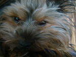 Fotoblog stoprocentxskurwysynu