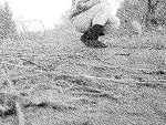 Fotoblog kaooola