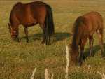 Fotoblog ijedziemydalej