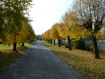Fotoblog lkfkadr