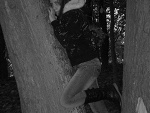 Fotoblog qhappyq