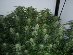 Fotoblog indooroutdoor