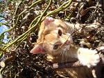Fotoblog tooja