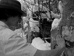 Fotoblog farciarzz