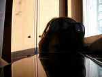 Fotoblog yessterday