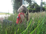 Fotoblog asssssik