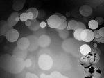 Fotoblog aga007