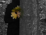Fotoblog olnlydreams