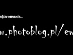 Fotoblog heartburstintofire