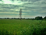 Fotoblog kajaa98