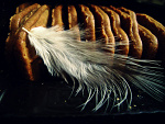Fotoblog ahaaya