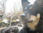 Fotoblog calmwillow