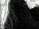 Fotoblog kingus881