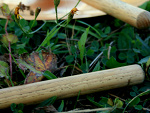Fotoblog amaye