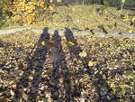 Fotoblog psyska