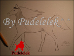 Fotoblog pudeeelek