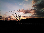 Fotoblog izuuu18