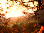 Fotoblog bocianowa