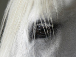 Fotoblog woashe