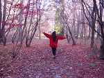 Fotoblog martiskaa
